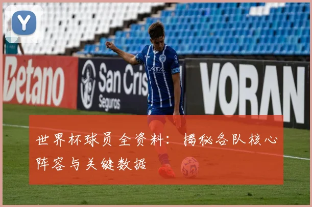 世界杯球员全资料：揭秘各队核心阵容与关键数据