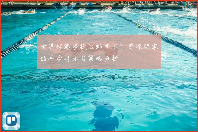 世界杯赛事投注哪里买？资深玩家的平台对比与策略分析
