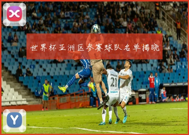 世界杯亚洲区参赛球队名单揭晓