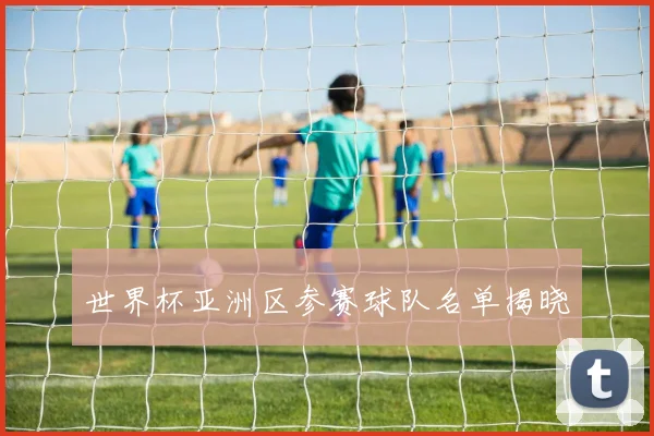 世界杯亚洲区参赛球队名单揭晓