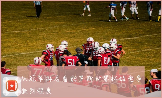 从冠军排名看俄罗斯世界杯的竞争激烈程度