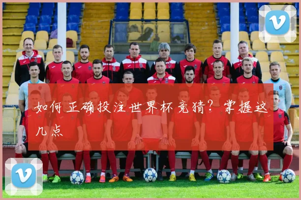 如何正确投注世界杯竞猜？掌握这几点