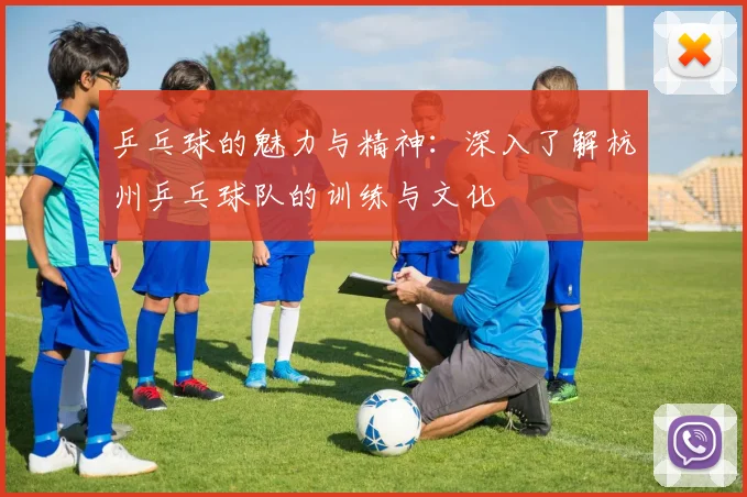 乒乓球的魅力与精神：深入了解杭州乒乓球队的训练与文化