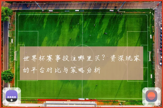 世界杯赛事投注哪里买？资深玩家的平台对比与策略分析