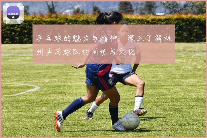乒乓球的魅力与精神：深入了解杭州乒乓球队的训练与文化