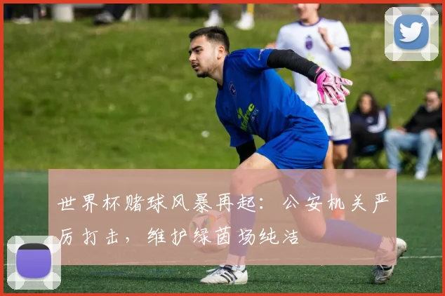世界杯赌球风暴再起：公安机关严厉打击，维护绿茵场纯洁