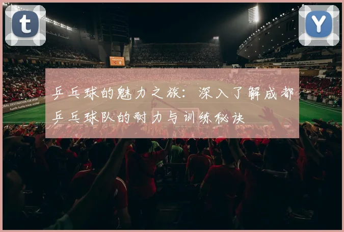 乒乓球的魅力之旅：深入了解成都乒乓球队的耐力与训练秘诀