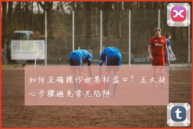 如何正确操作世界杯盘口？五大核心步骤避免常见陷阱